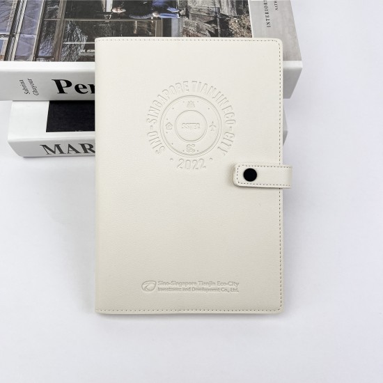Gold double-ringed hardcover color-printed ringbound notebook with gold-cornered index pages and offset inner pages, gift set.